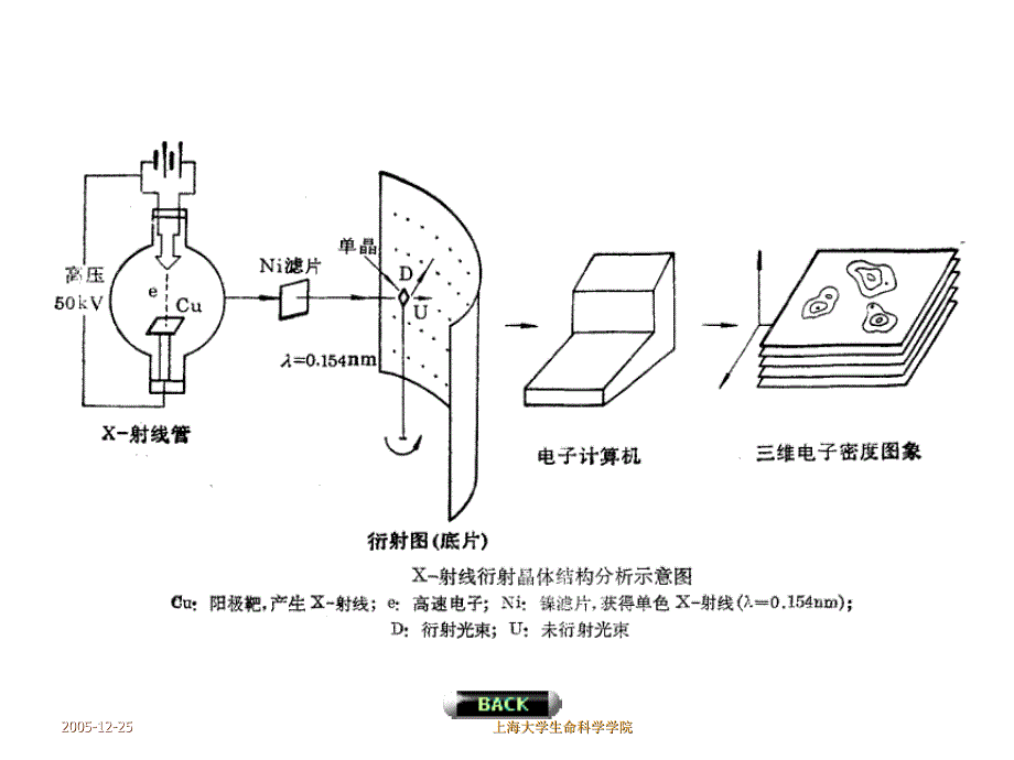 生物化学第五章蛋白质的三维结构_第4页