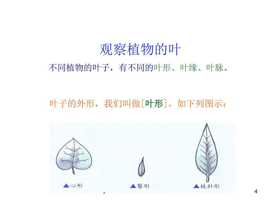 小学三年级科学植物的根茎叶ppt课件_第4页