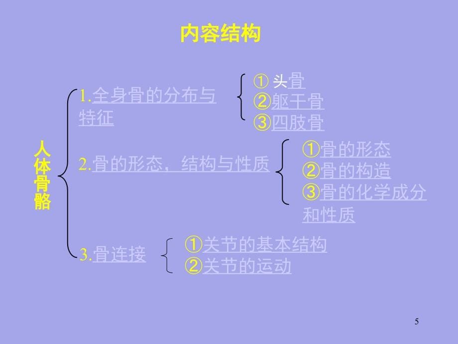 苏教版小学四年级下册科学全册PowerPoint演示文稿_第5页