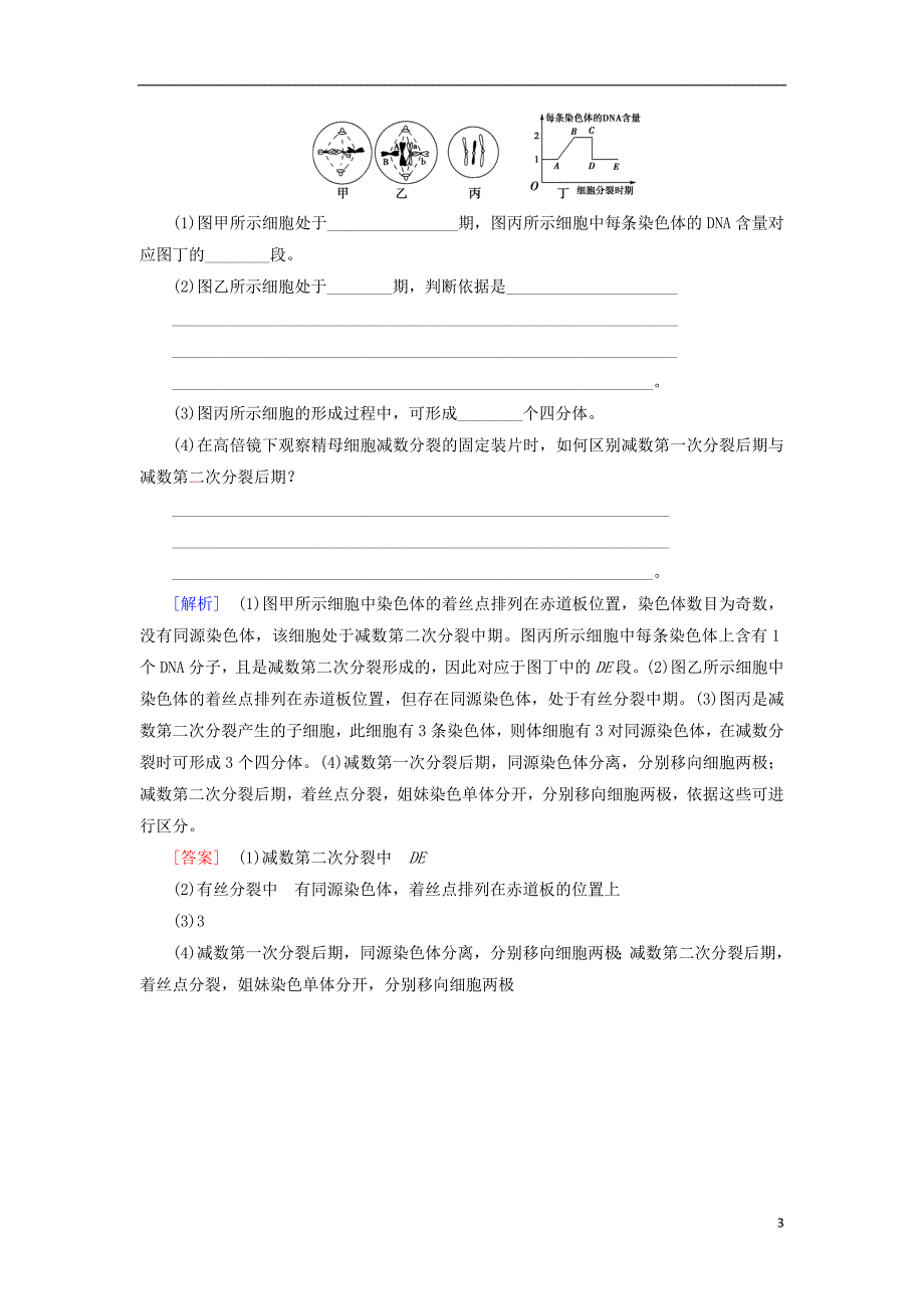 2018-2019高中生物 第2章 减数分裂和有性生殖 微专题突破与减数分裂的比较学案 苏教版必修2_第3页