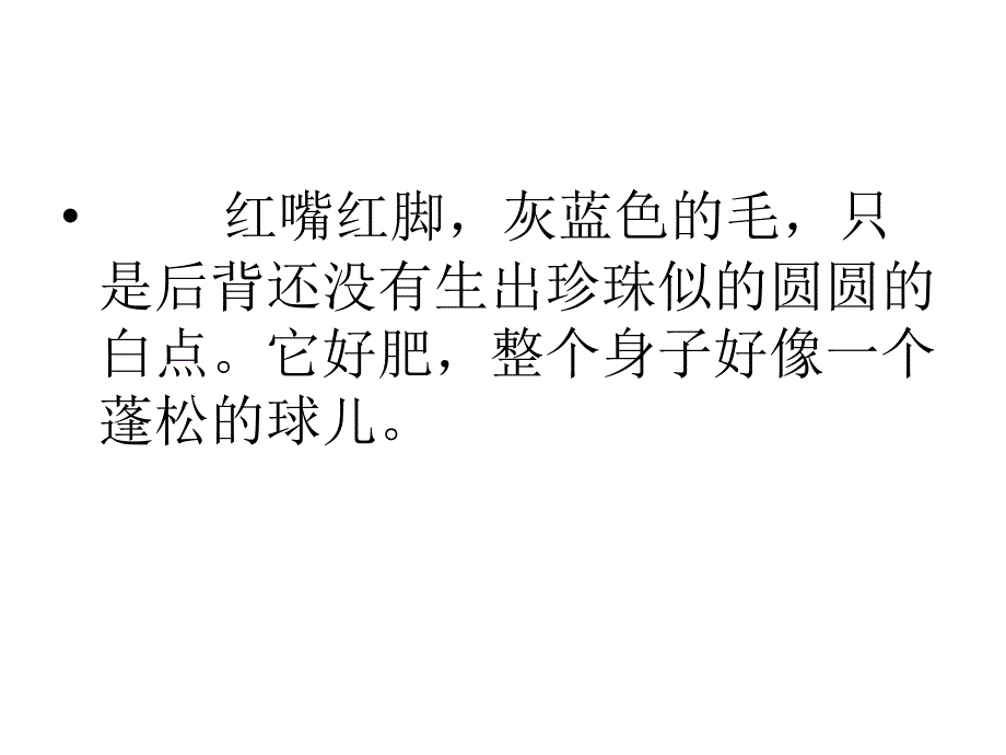 珍珠鸟课件虞大明_第4页