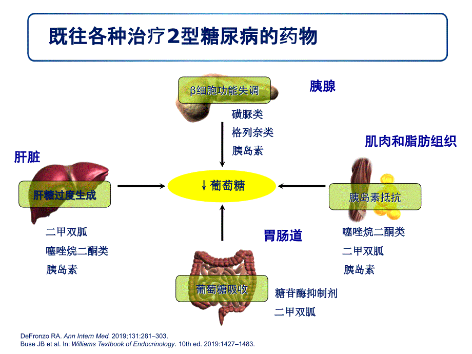 浅析GLP1受体激动剂与DPP4抑制剂38页PPT课件_第4页