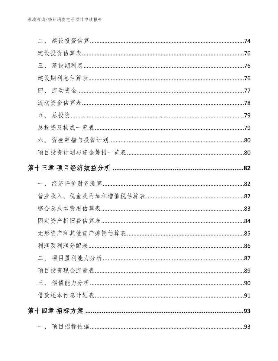 扬州消费电子项目申请报告_范文模板_第5页