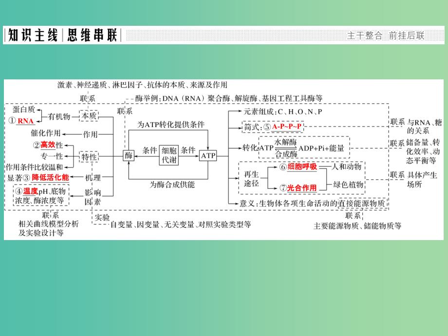 高考生物二轮复习 第二单元 生命系统的代谢基础 专题一 酶与ATP课件.ppt_第2页