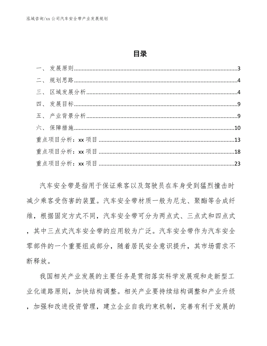 xx公司汽车安全带产业发展规划（审阅稿）_第2页