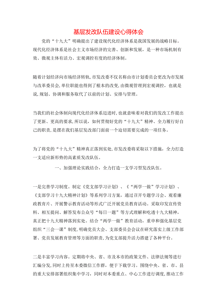 基层发改队伍建设心得体会_第1页