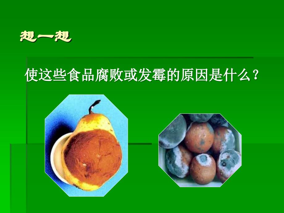 八年级上册人教版生物细菌和真菌在自然界中的作用PPT课件_第4页