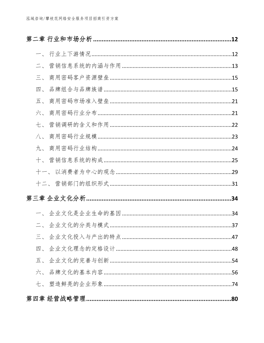 攀枝花网络安全服务项目招商引资方案模板_第3页