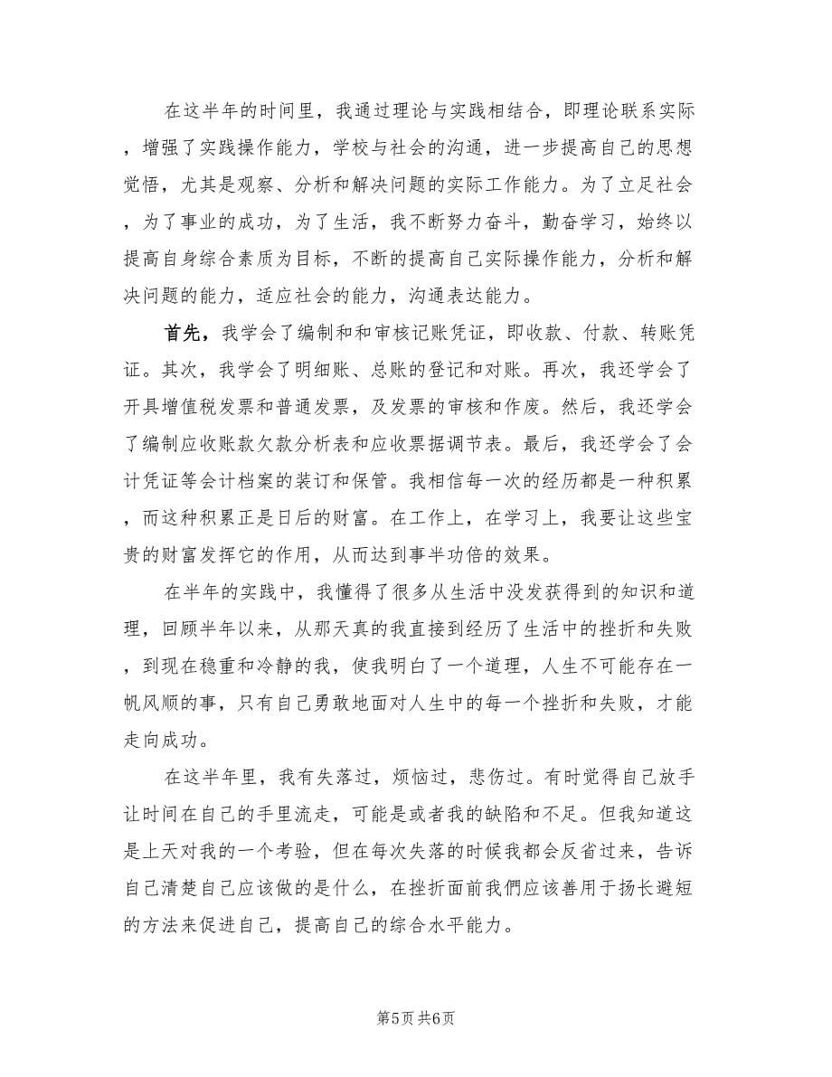 下半年财务会计个人工作总结（三篇）.doc_第5页