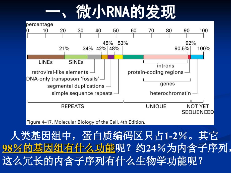 微小RNA及其在医学中的应用_第2页