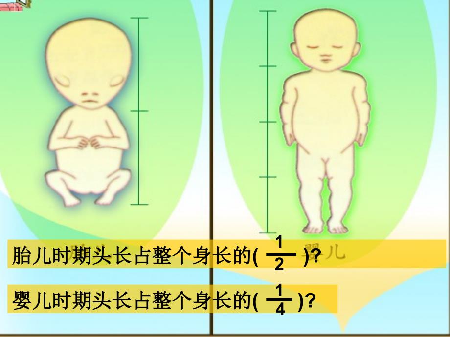 青岛版三年级数学上册_第3页