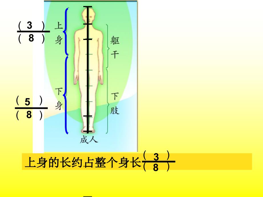 青岛版三年级数学上册_第4页