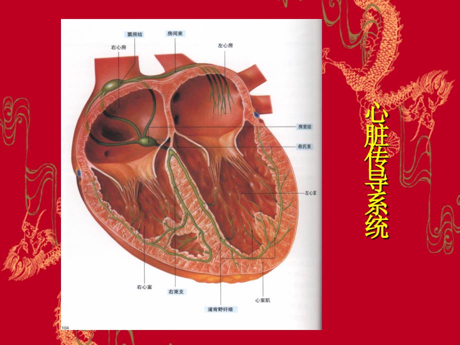 围术期心律失常教案_第2页