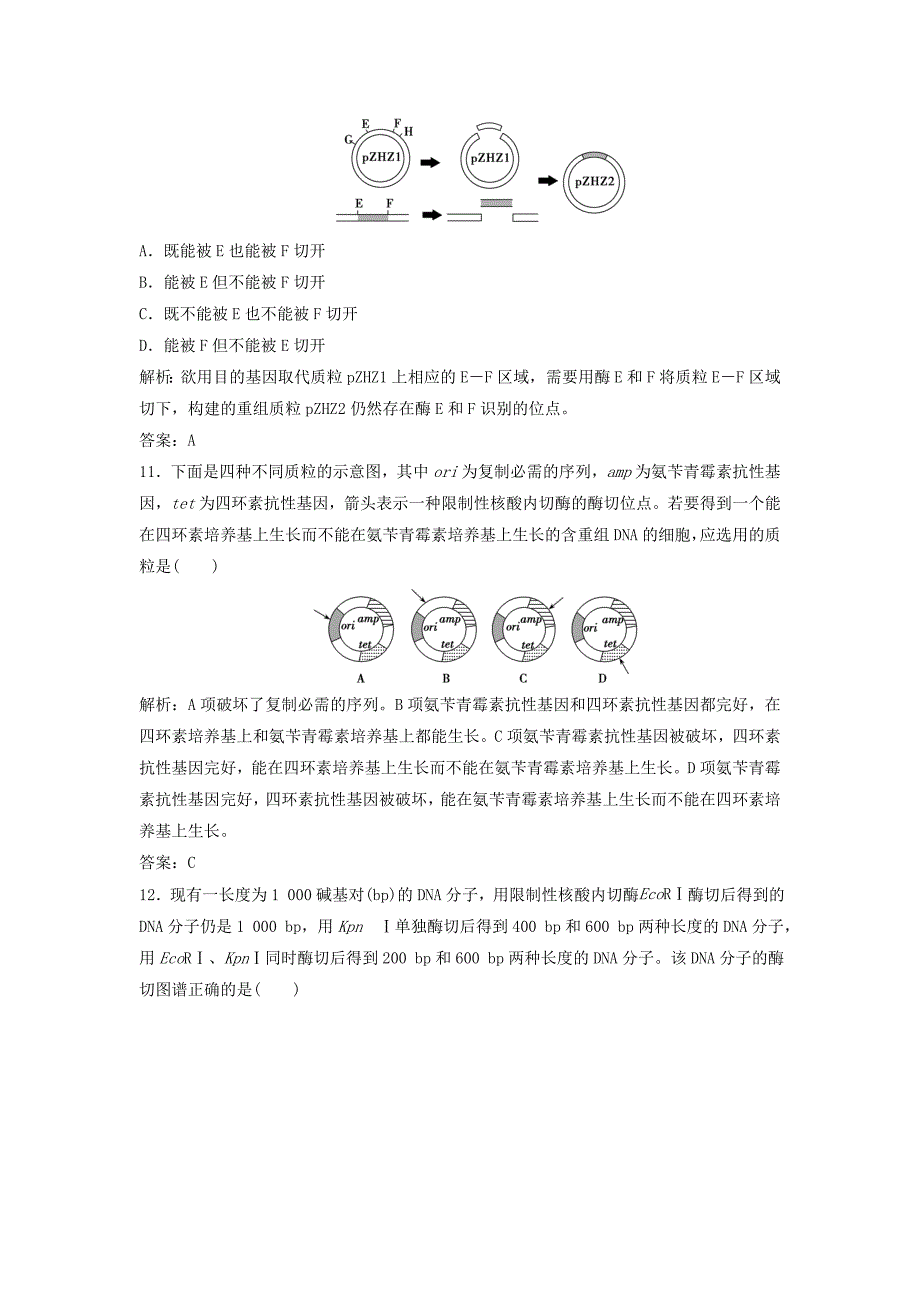 2022-2023学年高中生物专题1基因工程1.1DNA重组技术的基本工具优化练习新人教版选修_第4页