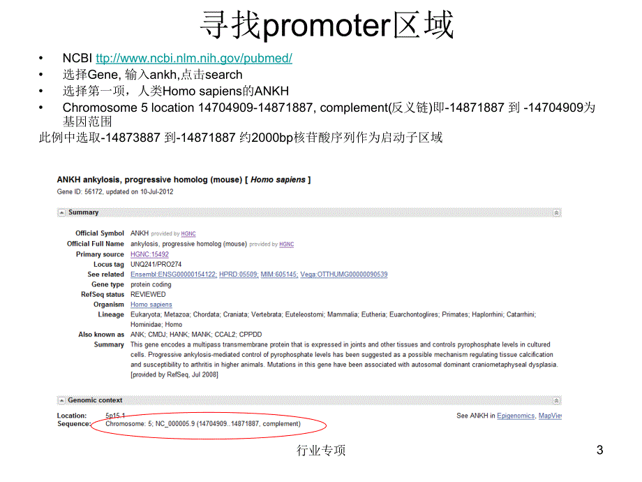 寻找启动子区域和预测转录因子结合位点PPT【各行参照】_第3页