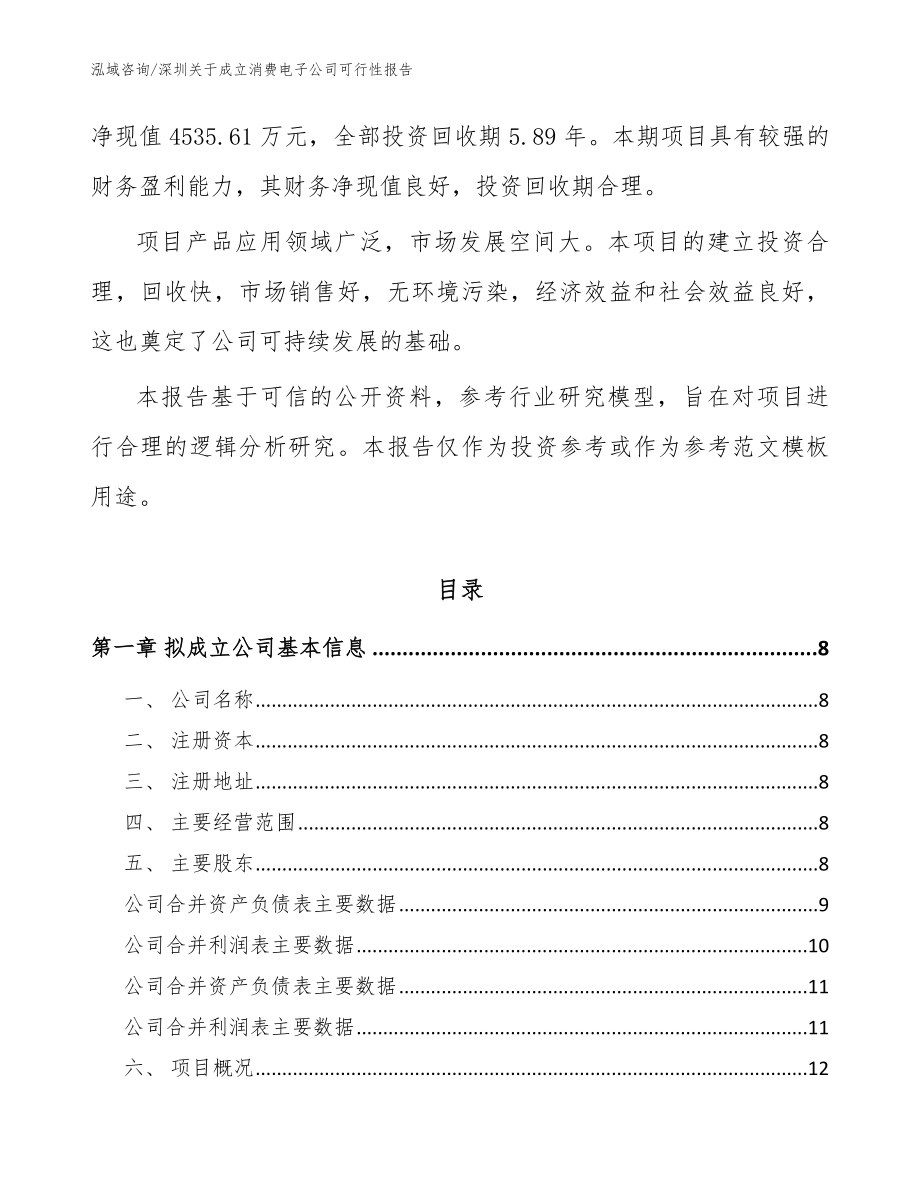 深圳关于成立消费电子公司可行性报告参考模板_第3页