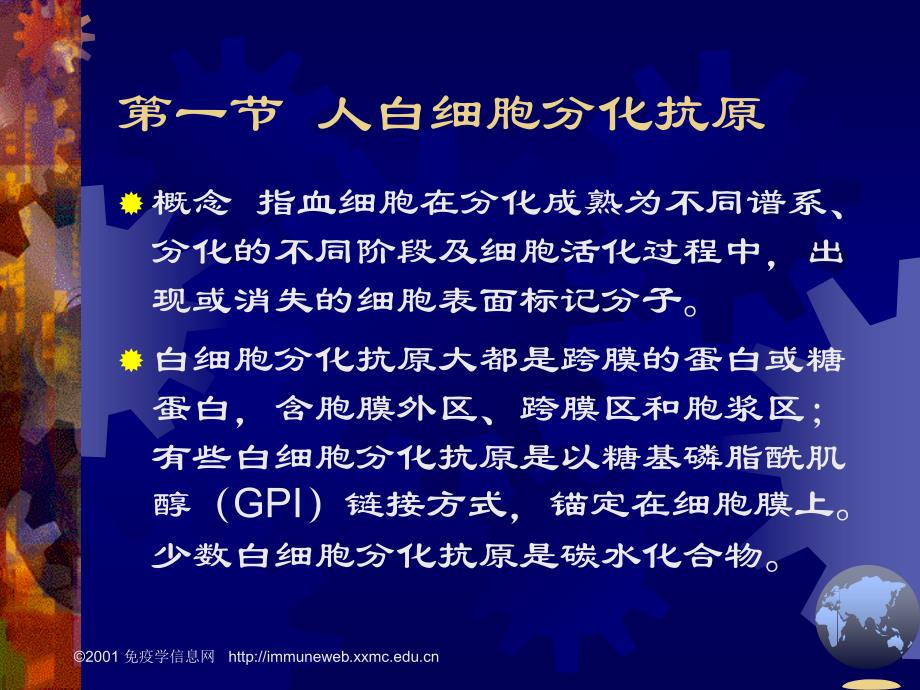 白细胞分化抗原和黏附子_第3页