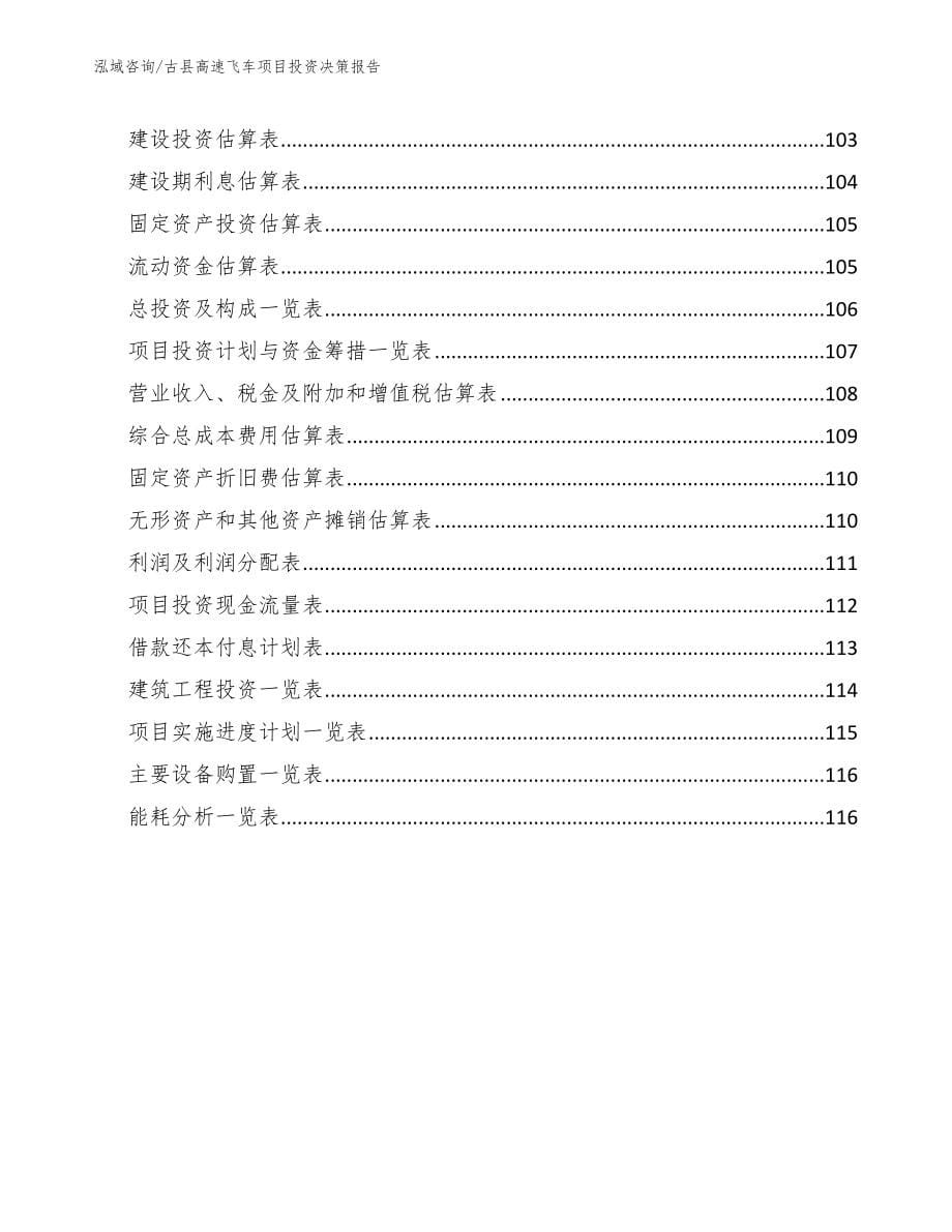古县高速飞车项目投资决策报告【模板范本】_第5页