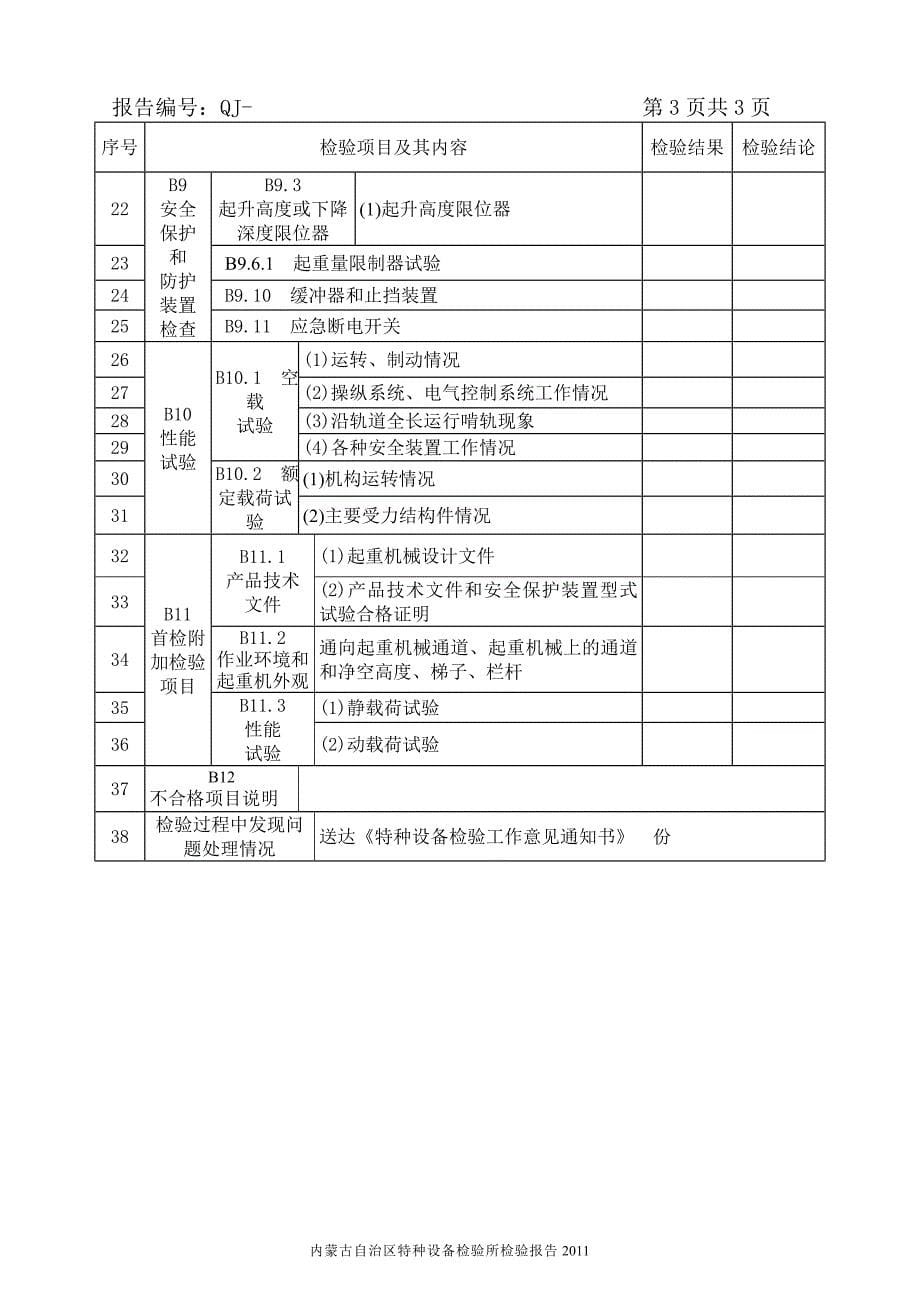 轻小型起重机械(环链电动葫芦)首检报告.doc_第5页