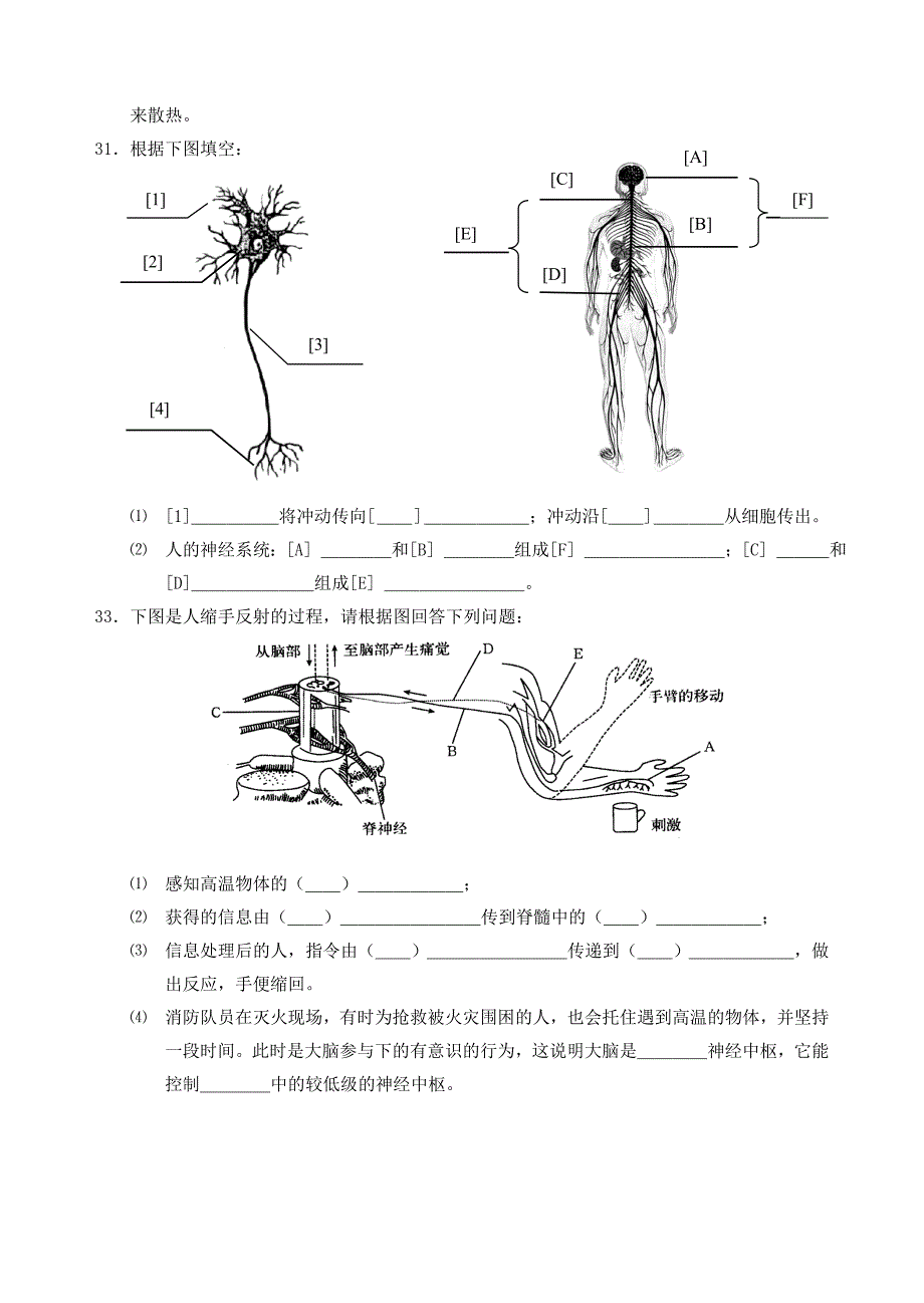 习题八（上）第三册第三章生命活动的调节测试.doc_第4页