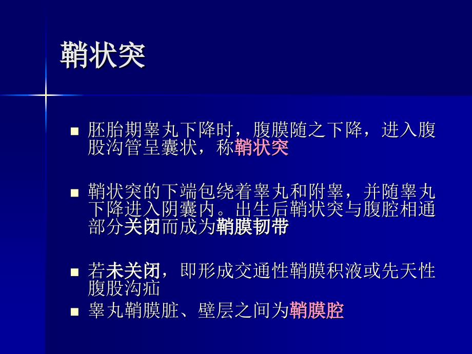 第十章阴囊及其内容物的超声诊断_第4页