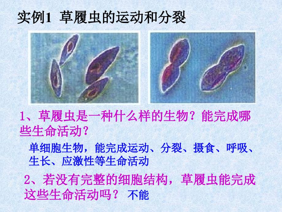 人教版教学课件从生物圈到细胞.ppt_第4页