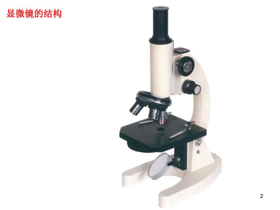 显微镜使用方法ppt课件_第2页