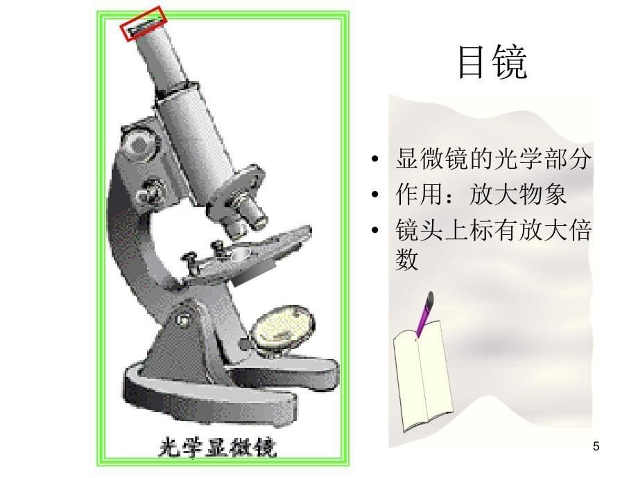 显微镜使用方法ppt课件_第5页