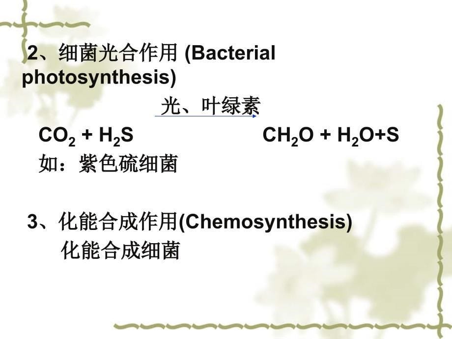 植物生理学第5章光合作用_第5页