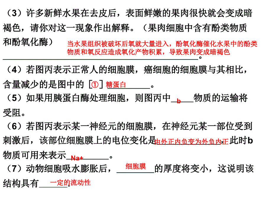 高三期末复习课件_第3页