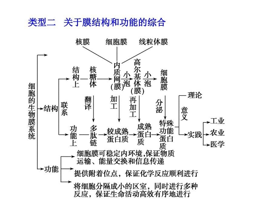 高三期末复习课件_第5页