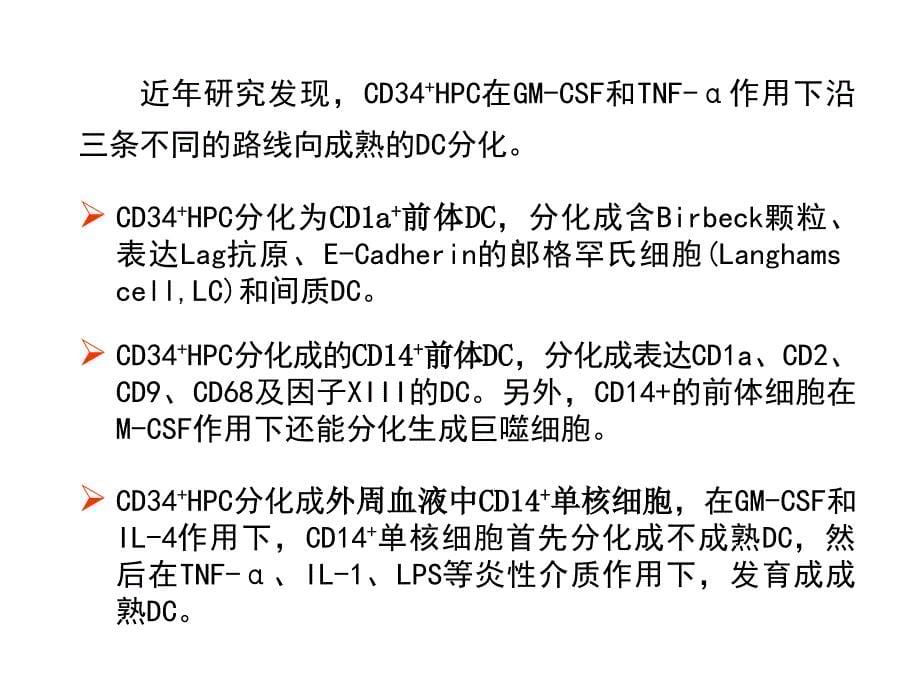 医学专题：树突状细胞简介_第5页