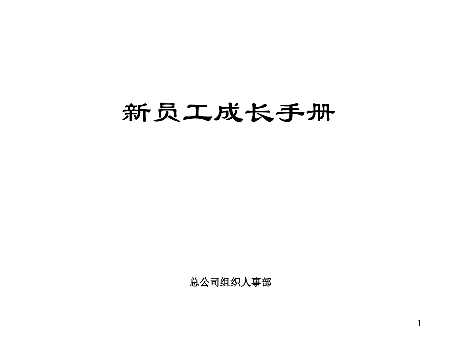 世界500强企业员工手册_第1页