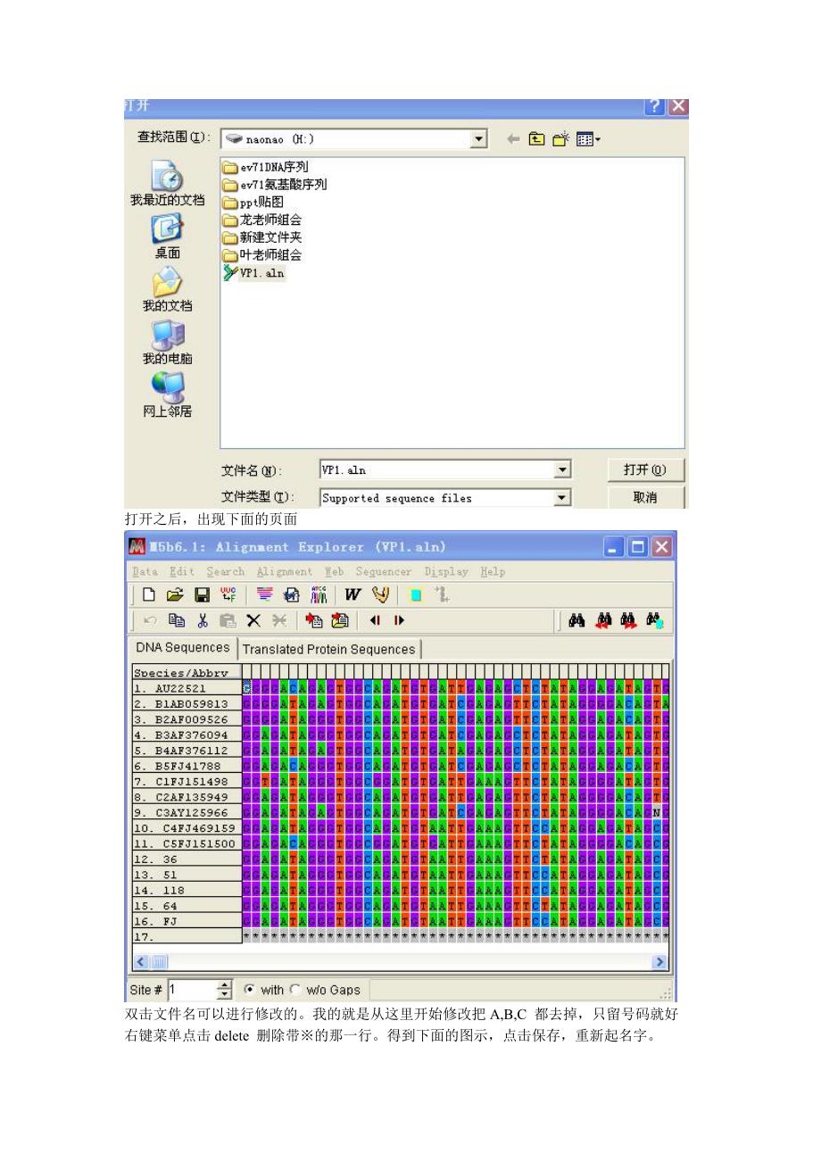 进化树构建方法-MEGA.doc_第2页