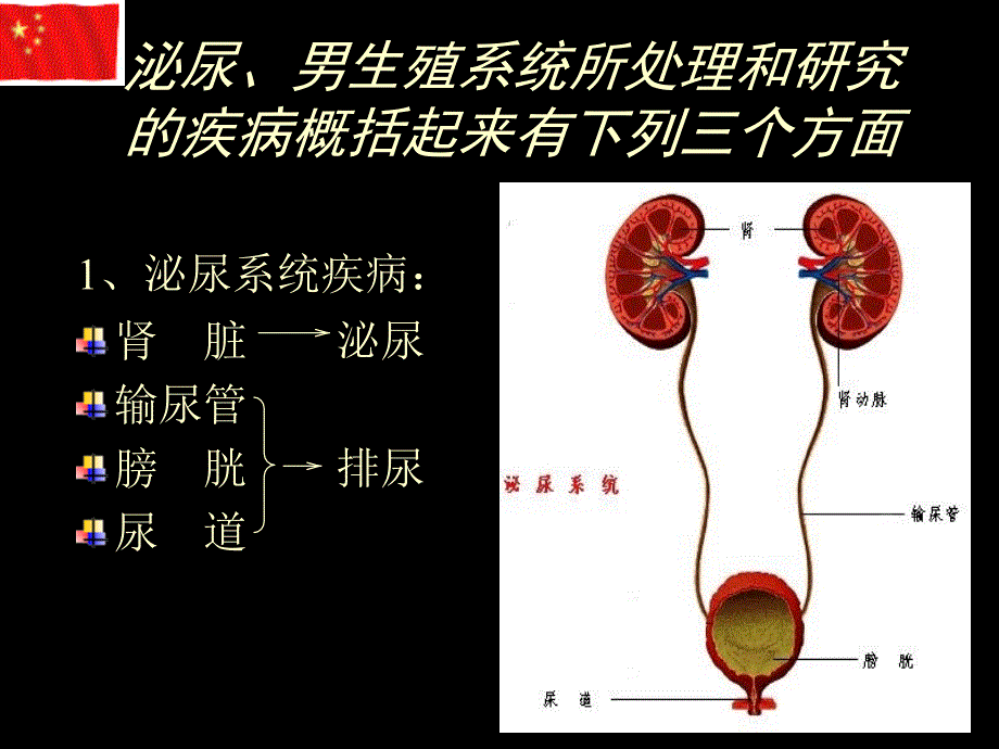 外科学2泌尿外科总论_第3页