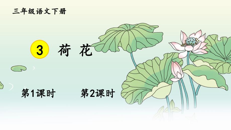 部编三年级语文下册3-荷花课件_第1页