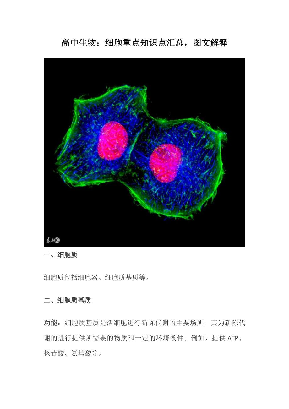 高中生物：细胞重点知识点汇总图文解释_第1页