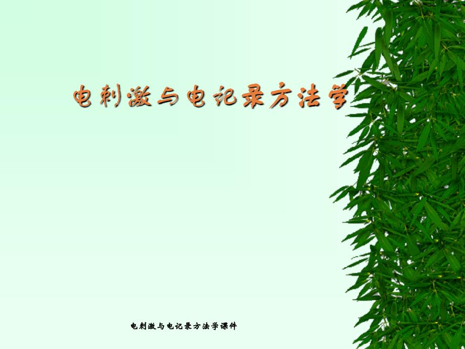 电刺激与电记录方法学课件_第1页