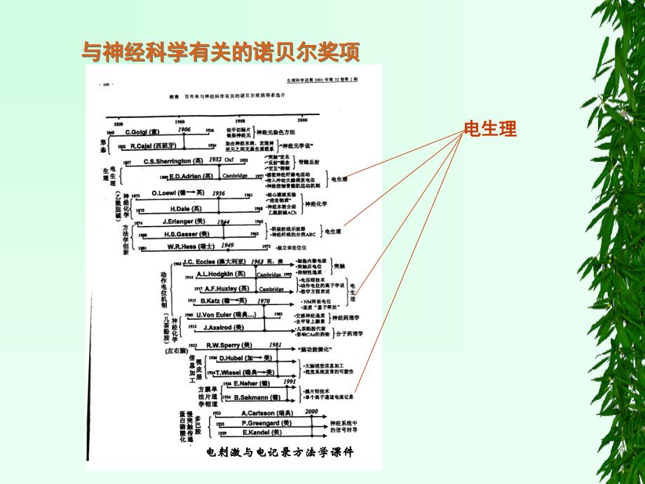 电刺激与电记录方法学课件_第3页