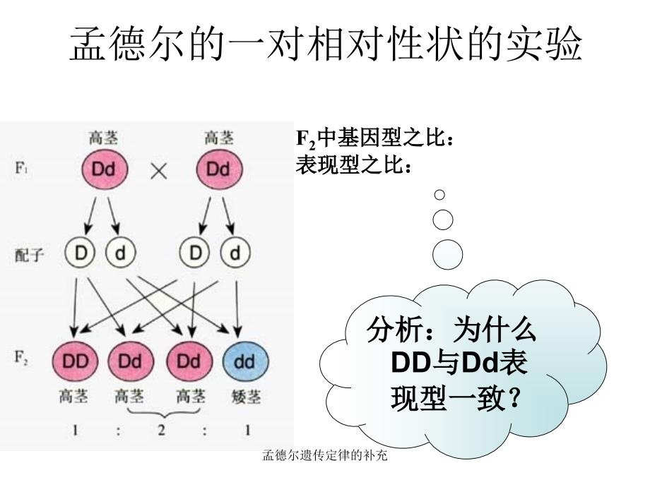 孟德尔遗传定律的补充_第2页