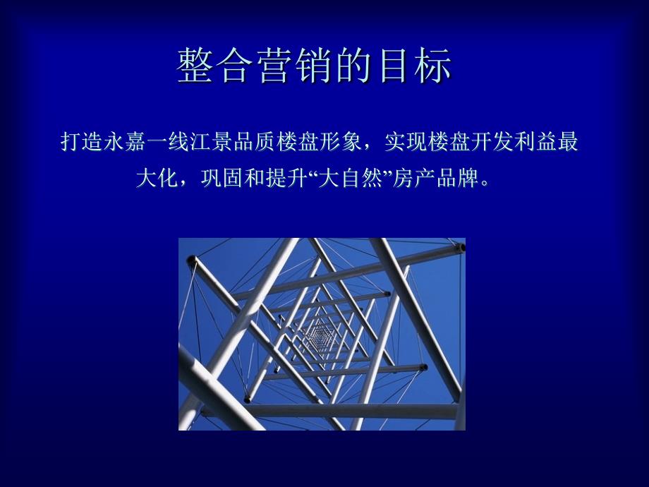 商业地产永嘉大自然滨江丽景地产项目营销推广(终稿)99页2.4M_第2页