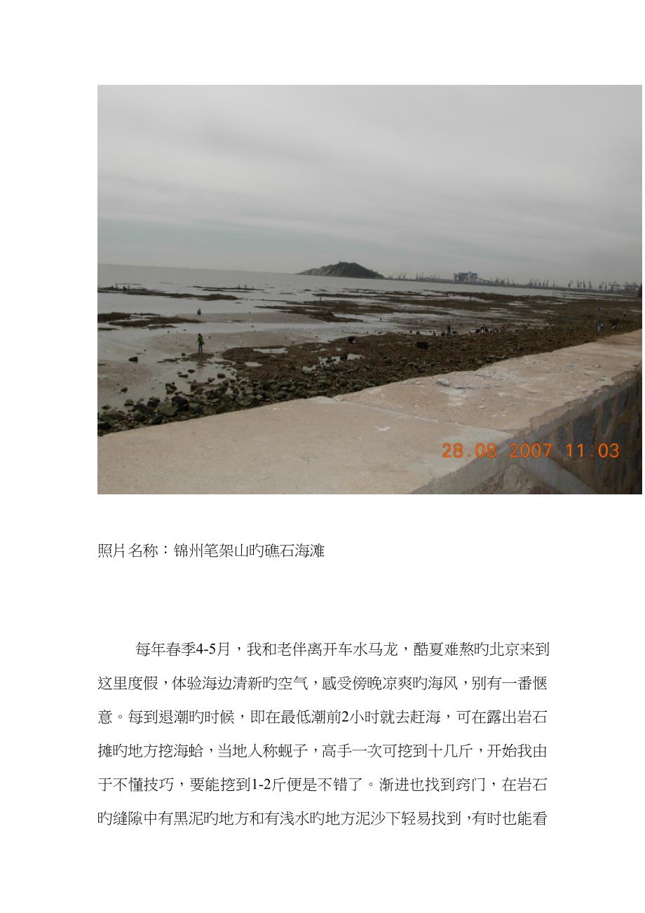 锦州笔架山的海边生活_第3页