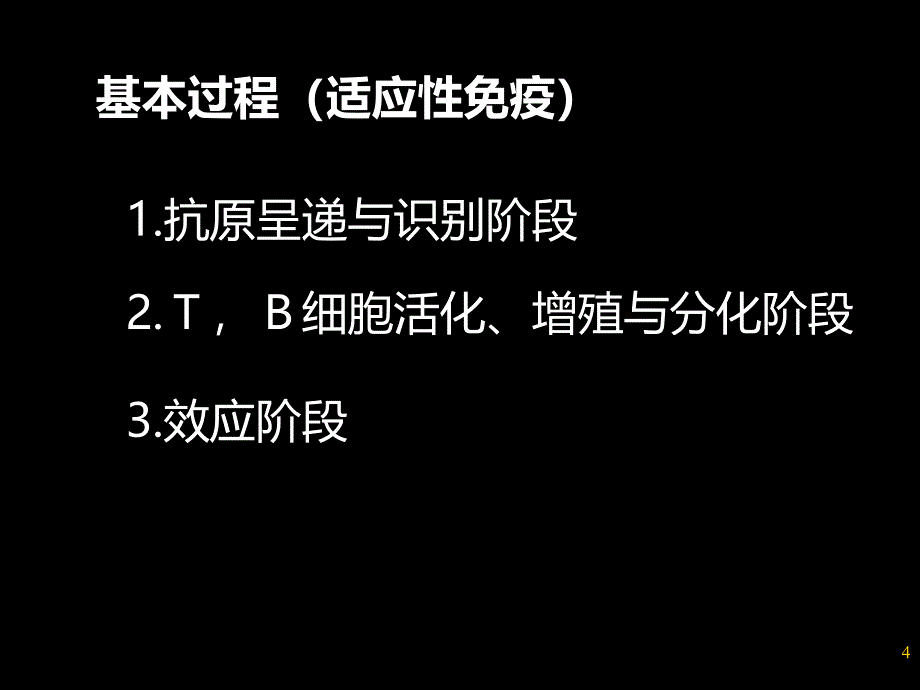 细胞免疫、体液免疫与干扰素_第4页