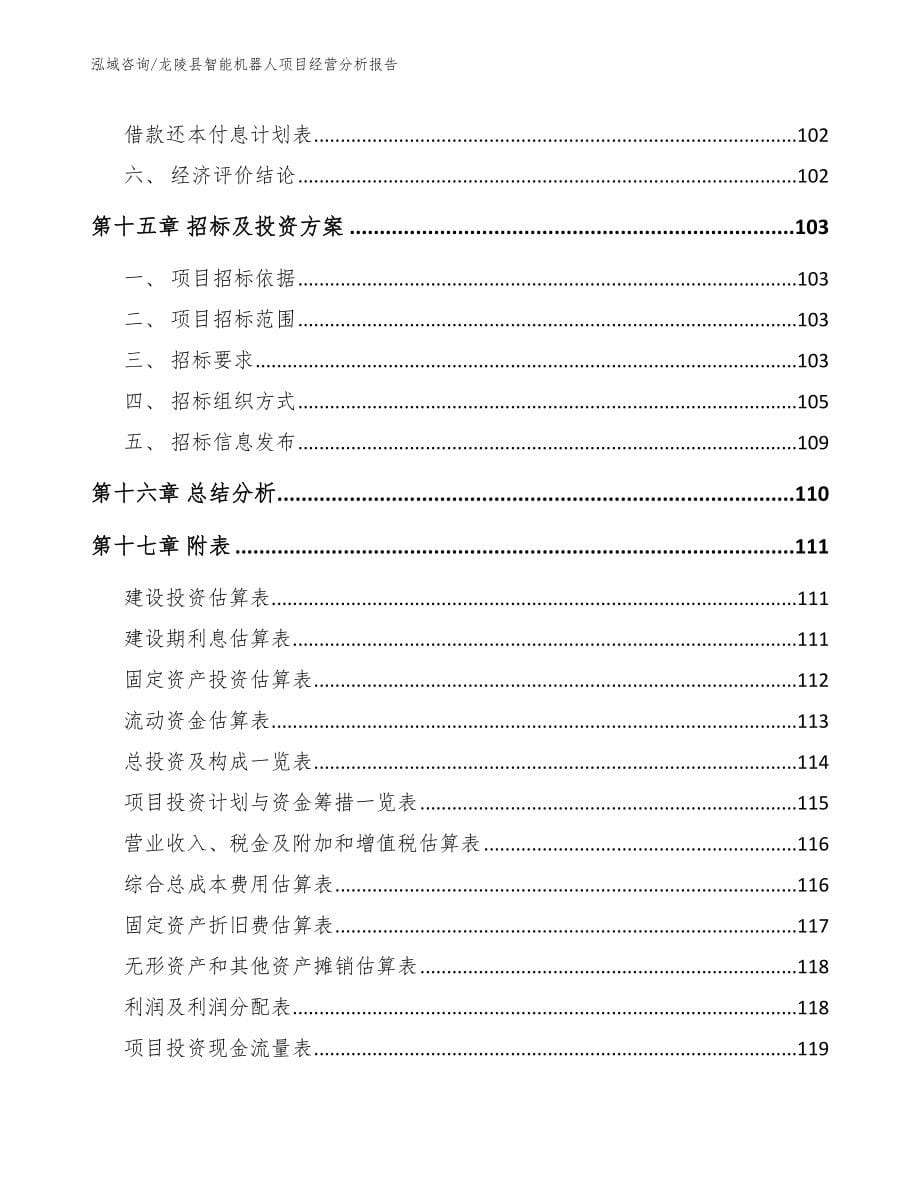 龙陵县智能机器人项目经营分析报告【参考模板】_第5页