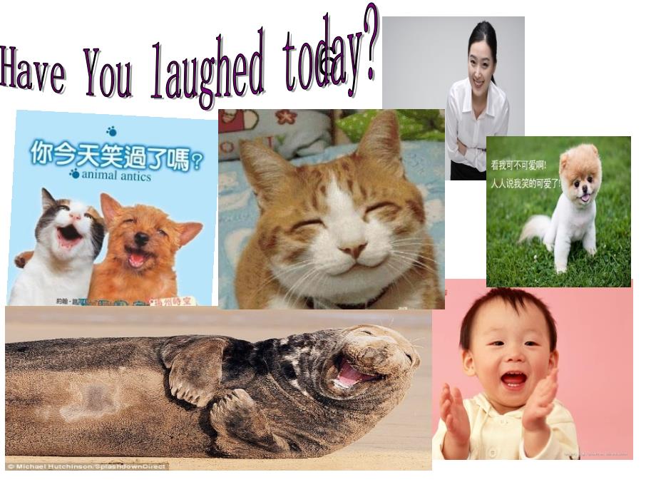 英语主题演讲PPT(smile).ppt_第2页