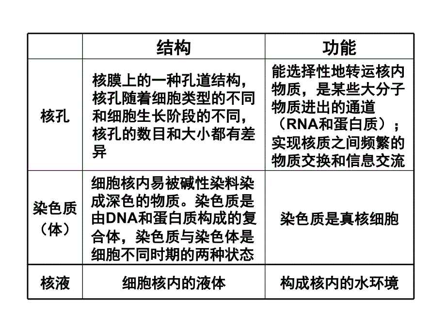 第4节---细胞核的结构与功能课件_第3页