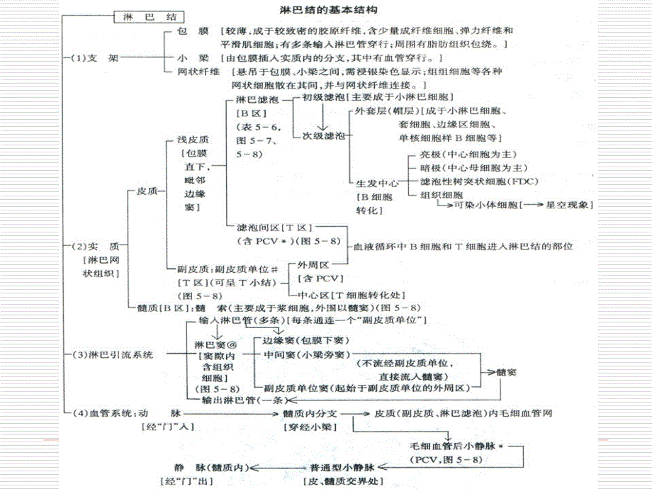 淋巴结病理学1_第4页