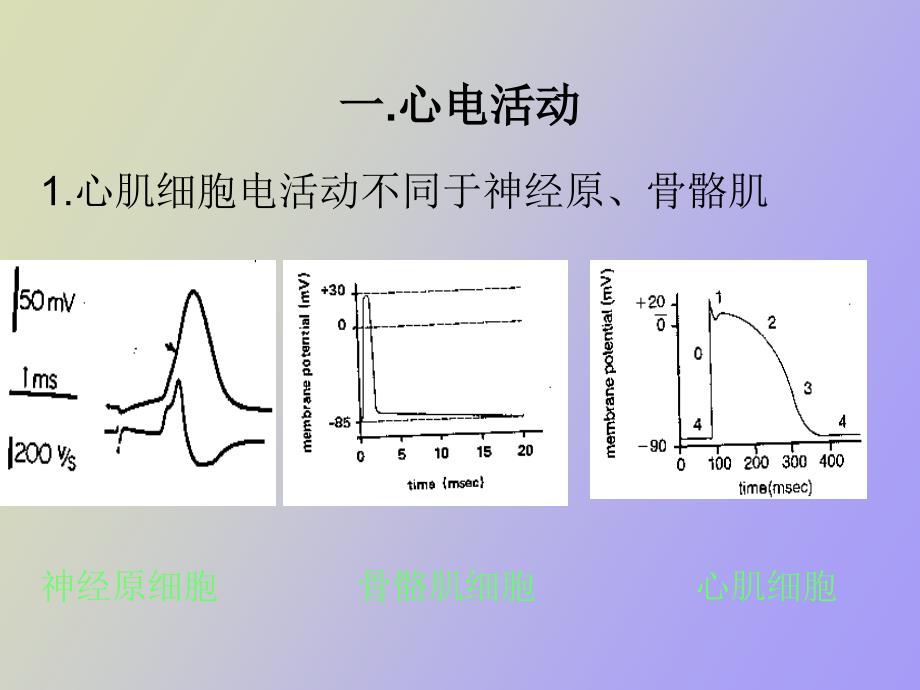 心律失常的现代治疗_第3页