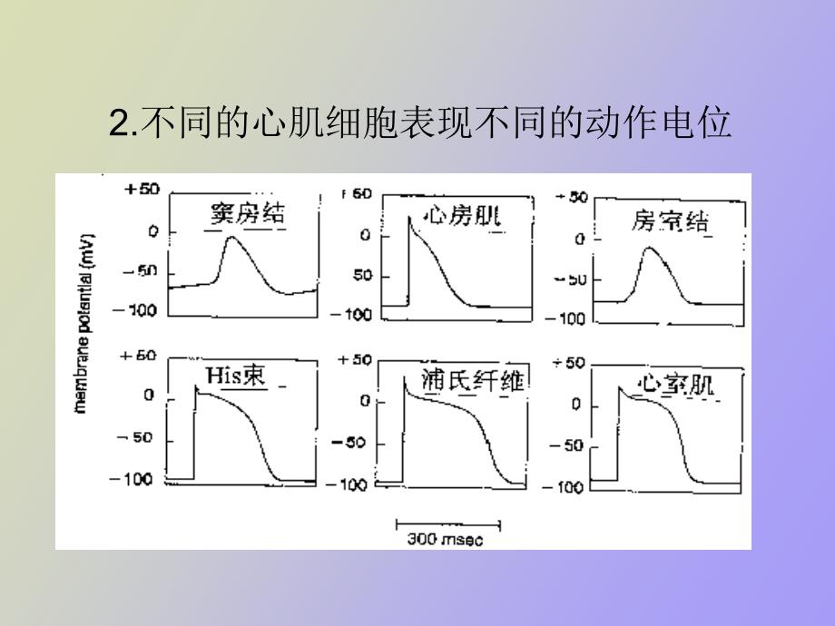 心律失常的现代治疗_第4页