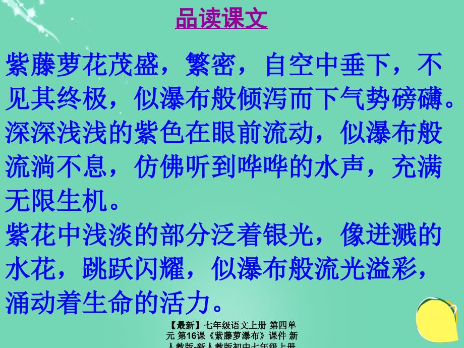 最新七年级语文上册第四单元第16课紫藤萝瀑布课件新人教版新人教版初中七年级上册语文课件_第3页